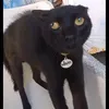 bingus276809