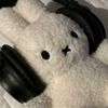 nisa_3376