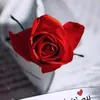 w_o57i