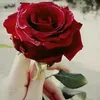 1adlbklle