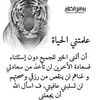 fatimaabbad36