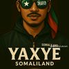 yahyemadar5