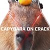 capybaraoncrack