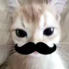 thychan_