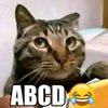 abcd_1.000