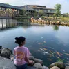 vian_2308