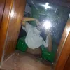 miah_liegh
