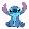 stichchlover