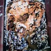pollock223