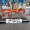 an.nhin75691