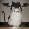 cosplayer443