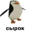 cirok_5