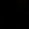 _fede__011