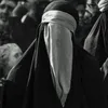 sabr_6511