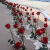 rabahkrisechtay6