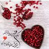 roghyyah