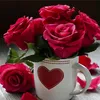 fatemehebrahimi4