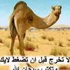 user87775767056844