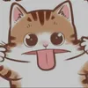 straycat.choose.randomly