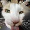 perrot_lawak1402