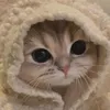 mairudi5556