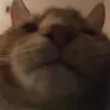 ゆ