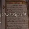 user4431786091292