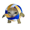 loversvolleyball100
