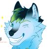 wintershiba93