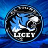 El Tigre Licey