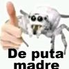 porfir7