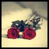 user8362343029800
