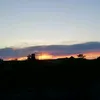 eltintos18