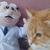 simi_cats