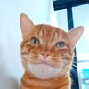 momon9.9