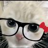 its_yenywww