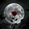useles_soul0
