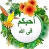 user9929558231386