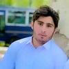 majidshah783