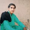 user2195426310431