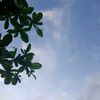 bay_ja29