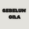 sebelumgila