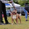 charliesmith8170