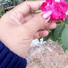 charmenita.aysha