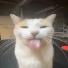 sh4wty3r_w3ed