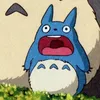 user791955869