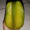jumsiti04