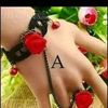 anisoqaliif0