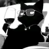 cat_in_black5