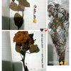 adi_ati_12345